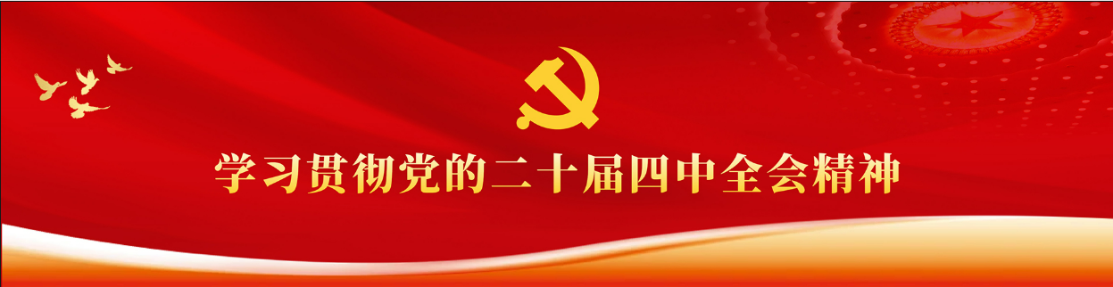 学习宣传贯彻党的二十届四中全会精神